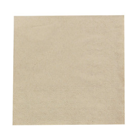 Paper Napkins Eco-Friendly 20x20cm 2C (100 Units)