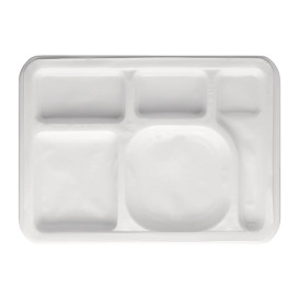 Styrofoam Trays