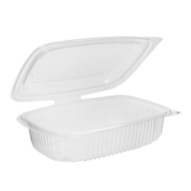 Plastic Container Microwave PP Transparente 600ml 18,5x13,5cm (300 Units)