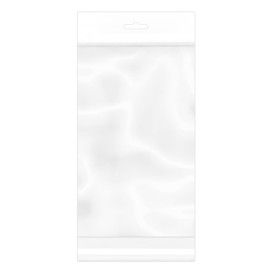 Plastic Bag Adhesive Flap Euroslot 16x30cm G-160 (100 Units)  