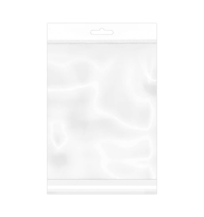 Plastic Bag Adhesive Flap Euroslot 23x32cm G-160 (100 Units) Plastic Bag Adhesive Flap Euroslot 23x32cm G-160 (100 Units)