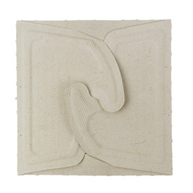 Package Sugarcane Box to Go 13x13x7cm 500ml. (150 Units)