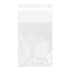 Plastic Bag with Adhesive Flap Cellophane 7x10cm G-160 (100 Units)  