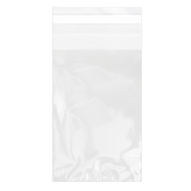 Plastic Bag with Adhesive Flap Cellophane 8x12cm G-160 (100 Units)  