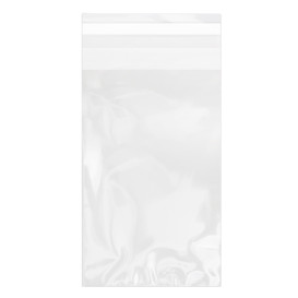 Plastic Bag with Adhesive Flap Cellophane 10x15cm G-160 (100 Units) 