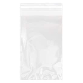 Plastic Bag with Adhesive Flap Cellophane 12x18cm G-160 (100 Units) 