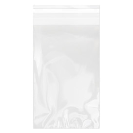 Plastic Bag with Adhesive Flap Cellophane 12x18cm G-160 (100 Units)  
