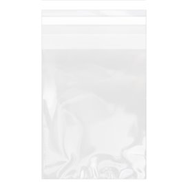 Plastic Bag with Adhesive Flap Cellophane 15x22cm G-160 (1000 Units)