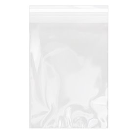 Plastic Bag with Adhesive Flap Cellophane 18x25cm G-160 (1000 Units)