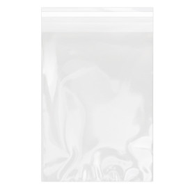 Plastic Bag with Adhesive Flap Cellophane 18x25cm G-160 (1000 Units)