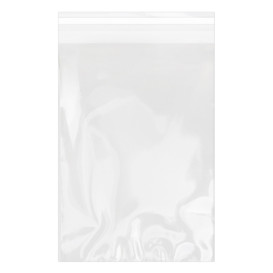 Plastic Bag with Adhesive Flap Cellophane 20x30cm G-160 (1000 Units)