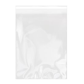 Plastic Bag with Adhesive Flap Cellophane 22x32cm G-160 (1000 Units)