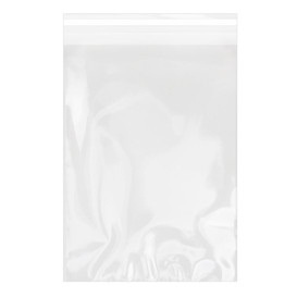 Plastic Bag with Adhesive Flap Cellophane 25x35cm G-160 (1000 Units)