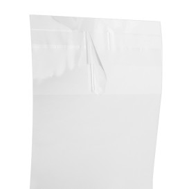 Plastic Bag with Adhesive Flap Cellophane 8x12cm G-160 (1000 Units)