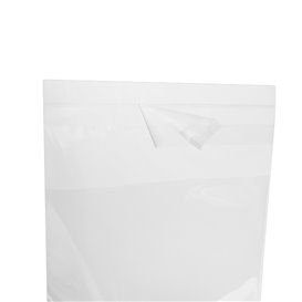 Plastic Bag with Adhesive Flap Cellophane 10x15cm G-160 (1000 Units)
