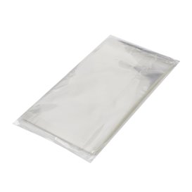 Plastic Bag with Adhesive Flap Cellophane 10x15cm G-160 (1000 Units)