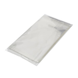 Plastic Bag with Adhesive Flap Cellophane 10x15cm G-160 (1000 Units)