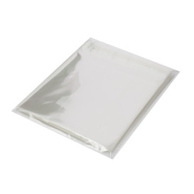 Plastic Bag with Adhesive Flap Cellophane 14x14cm G-160 (100 Units) 