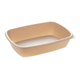 750ml Rectangular Disposable Plastic Container with Lids - SLV10