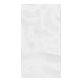 Plastic Bag G100 12,5x25cm (1000 Units)