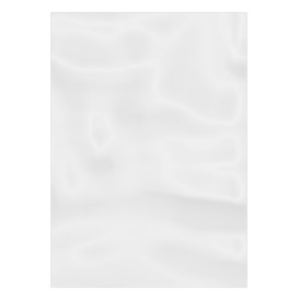 Plastic Bag G100 16x22cm (1000 Units)