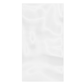Plastic Bag G100 18x30cm (1000 Units)