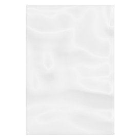 Plastic Bag G100 20x30cm (1000 Units)