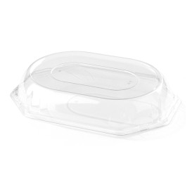 Plastic Lid for Tray 36x24x5 cm (5 Units) 