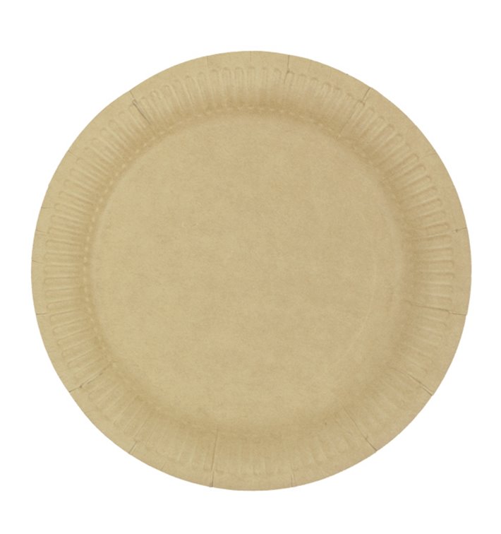 Cardboard plate