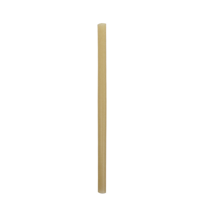 Eco Sugar Cane Straw Ø1,2cm 25cm (1.000 Units)