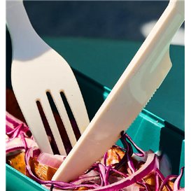 Reusable Durable Fork in PP Cream 17,9cm (50 Units)