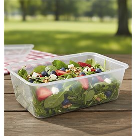 Rectangular Container in PP Transparent 750ml 17,4x11,6x5,5cm (25 Units) 