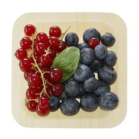 Square Wooden Plate 9x9cm (25 Units)