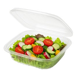 Plastic Hinged Deli Container PET Square shape 250ml (900 Units)