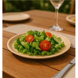Palm Leaf Plate Round Shape Ø25cm (200 Units)