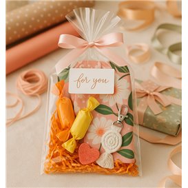 Plastic Bag Cellophane PP 15x22cm G-130 (100 Units)  