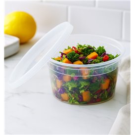 Plastic Container in PP with Lid Transparent "Deli Range" 480ml (40 Units)