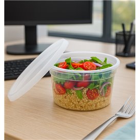 Plastic Container in PP with Lid Transparent "Deli Range" 480ml (40 Units)