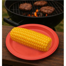 PS Reusable Plastic Plate Flat Red Ø165mm (25 Units) PS Reusable Plastic Plate Flat Red Ø165mm (25 Units)