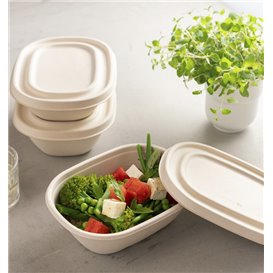 Sugarcane Lid for Bowl 19X15cm (50 Units)
