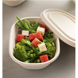 Sugarcane Lid for Bowl 19X15cm (50 Units)