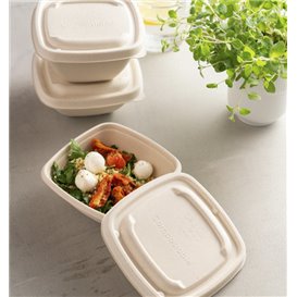 Sugarcane Lid for Bowl 13x13cm (500 Units)  