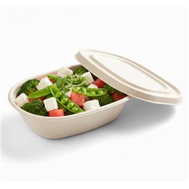Sugarcane Lid for Bowl 19x15cm (50 Units)