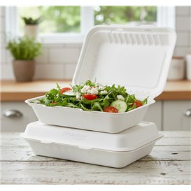 Sugarcane Hinged Container "Menu Box" White 26x16x6cm (250 Units)