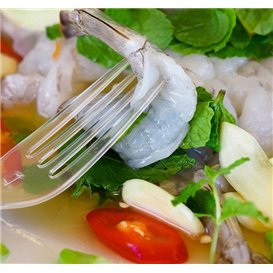 Reusable Fork in PS Transparent 18cm (480 Units)